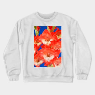 Gladiolus  'Daniella' Crewneck Sweatshirt